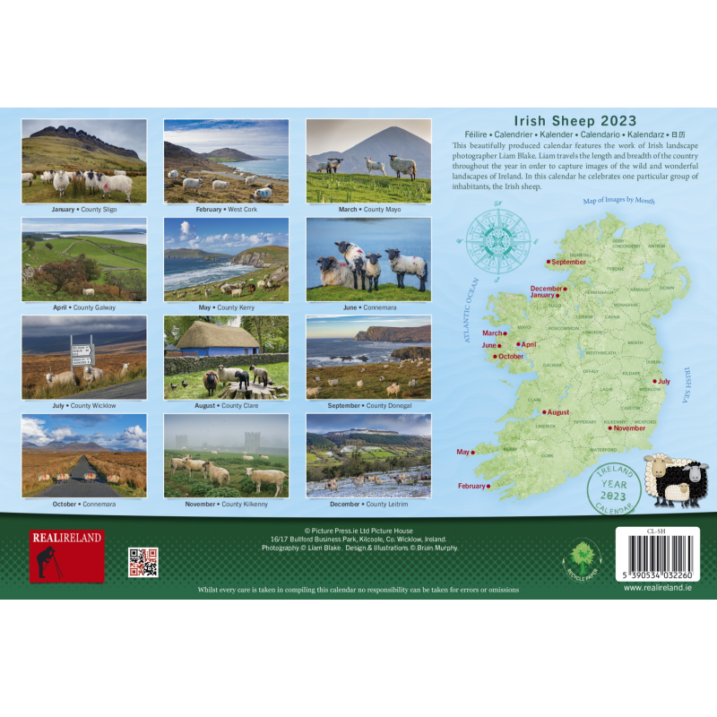 A4 Irish Sheep 2023 Calendar by Liam Blake